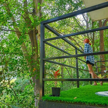 Shell House - Private Stay With Garden View In Arambol Mandrem Eksteriør bilde
