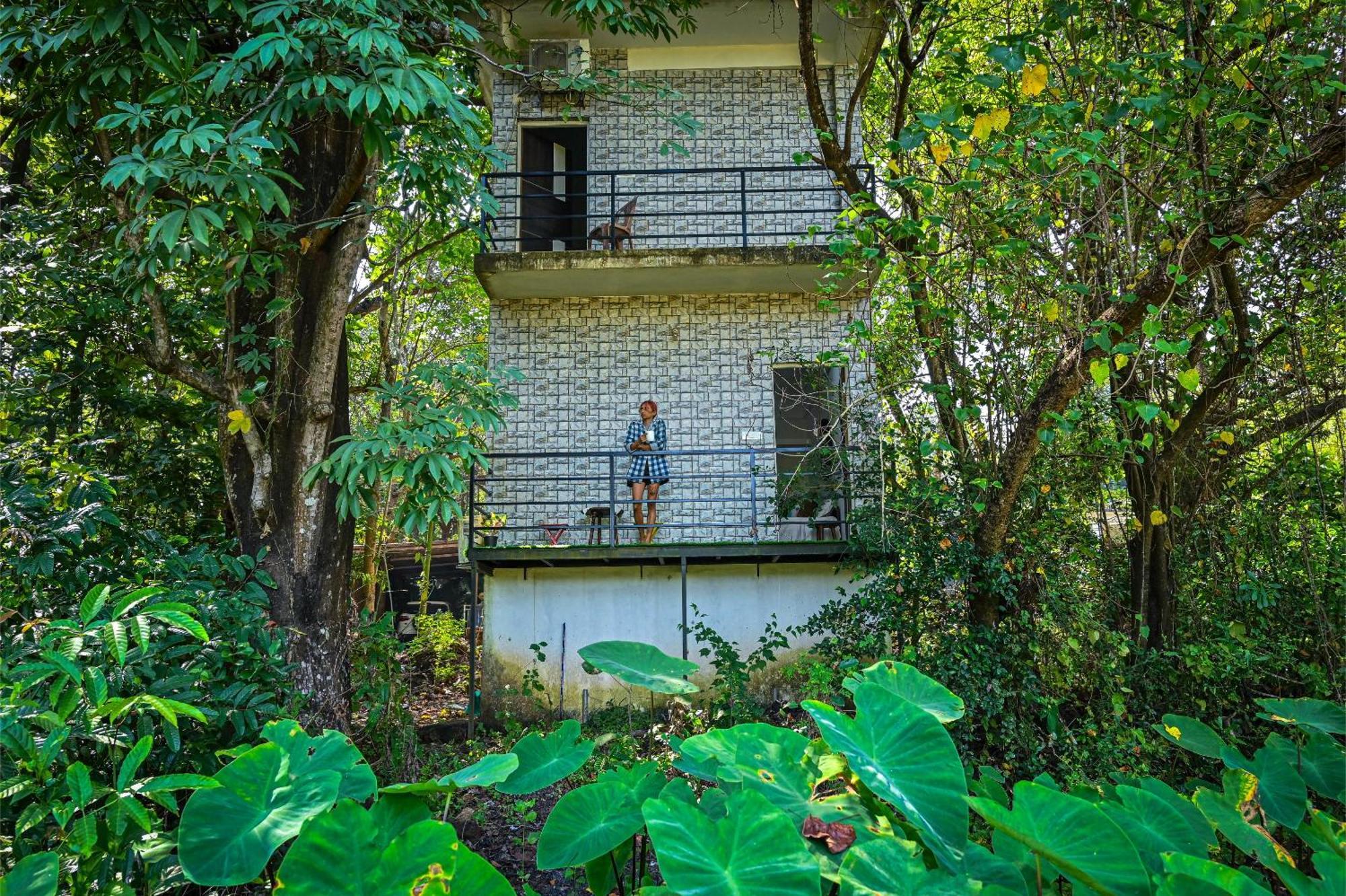 Shell House - Private Stay With Garden View In Arambol Mandrem Eksteriør bilde